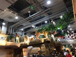 -鲁比猴非洲探索部落(喜盈门店)
