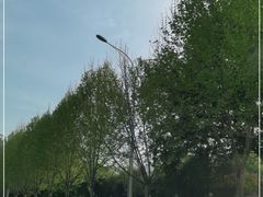 -堤角公园
