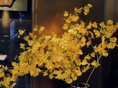 -觀芷隐轩