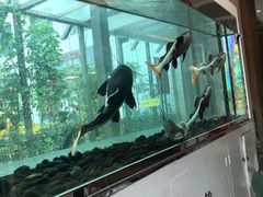 -衡山汇·高级粤菜(霄云路店)