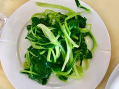 清炒鸡毛菜-京滨饭店·餐厅(阜外大街店)