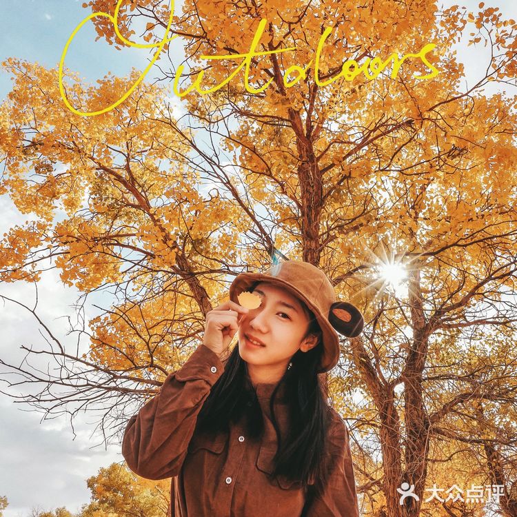 秋天必去的额济纳🍁每年国庆如期而至‼️