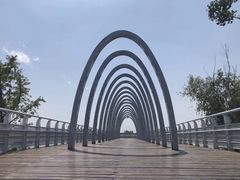 -大兴滨河森林公园