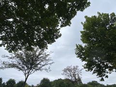 -宜兴龙背山森林公园