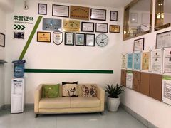 -汪喵宠物医院·骨科心脏影像·犬猫急重症ICU诊疗中心(成华分院)