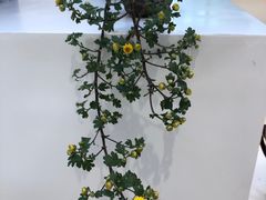 -汇龙潭