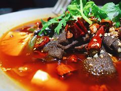 -辛香汇·现炒川菜(淮海路百盛店)