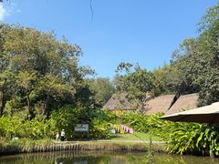 -大象粑粑造纸公园