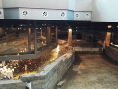 -元代水闸遗址博物馆