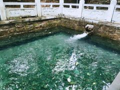 -四门塔风景区