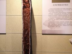 -中华赏石园