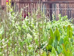 -昆山城市生态森林公园