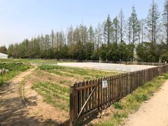 -前小桔亲子创意农场·草莓采摘·露营烧烤