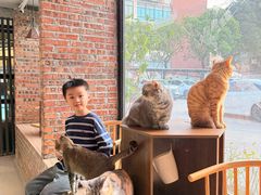-豆逗聊愈猫阁Easy Life