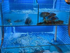 -江湖亮亮蒸虾大排档烤全羊清真(武汉总店)