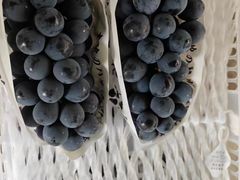 -马陆小张葡萄园农家乐