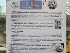 -青藏高原野生动物园