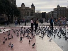 -加泰罗尼亚广场