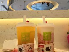 -奈雪的茶(永嘉天地东百城店)