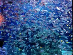 -成都浩海立方海洋公园