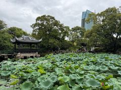 -无锡蠡湖国家湿地公园-蠡园