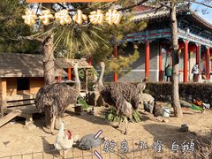 -有喜胶东小馆(太申祥和店)