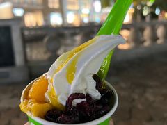 -Salud撒露欧洲冻酸奶(蓝色港湾店)