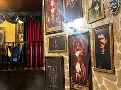 -雪灵魔法世界SHELLY’S TAROT(大良桂畔里店)