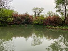 -西溪国家湿地公园