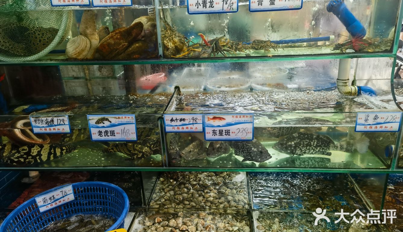 新鲜看得见哦