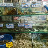 新鲜看得见哦