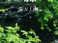 -凤凰山国家森林公园