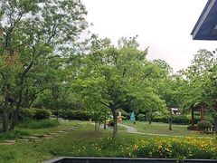 -东海森林温泉度假酒店