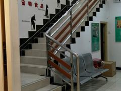 -创凡宠物医院·骨专科  猫科中心(西乡分院)