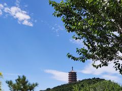 -永定河休闲森林公园