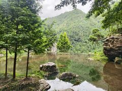 -刘伯温故里景区百丈漈