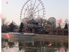 -天津水上公园