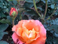 -人民公园(罗湖区)