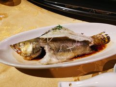 -十八棵（老龙井）御茶园(老龙井店)