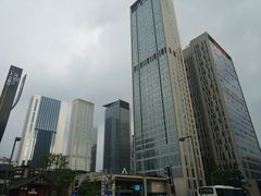 -成都明宇丽雅饭店
