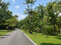 -中国科学院西双版纳热带植物园