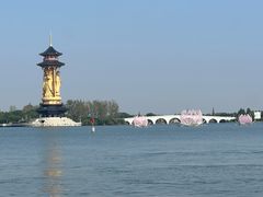 -溱湖国家湿地公园