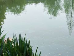 -水绘园