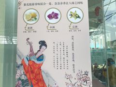 -百万葵园