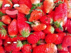 -堤口果品批发市场