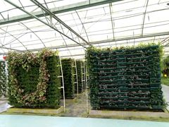 -广东茂名森林公园