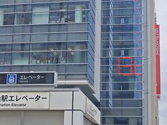 -大通公园
