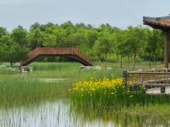-张家湾公园