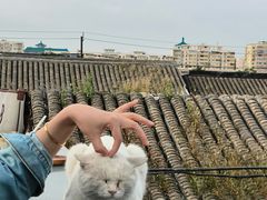 -前叁門