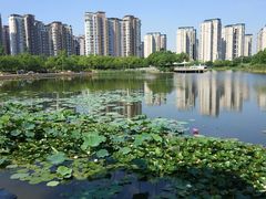 -新江湾城公园